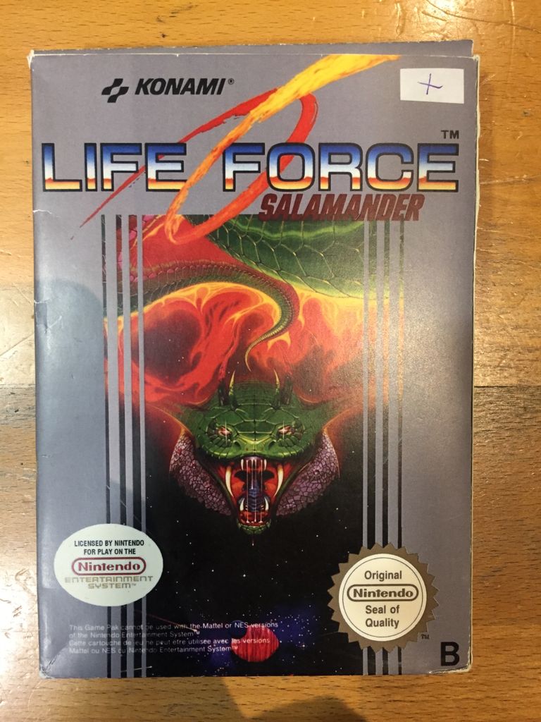 Life Force Salamander - USA